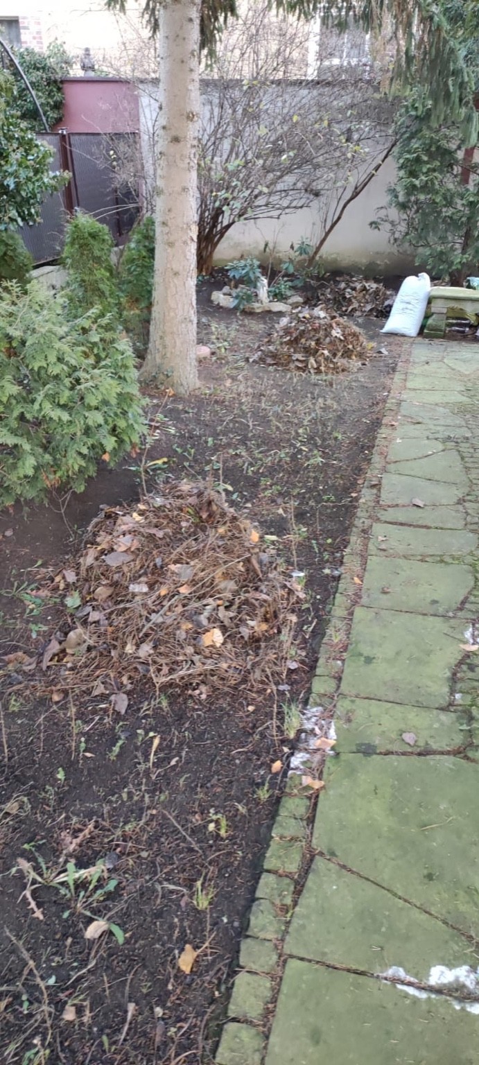 30E376F1-A6C6-42FE-BADB-F46B259A2F05_max2MB