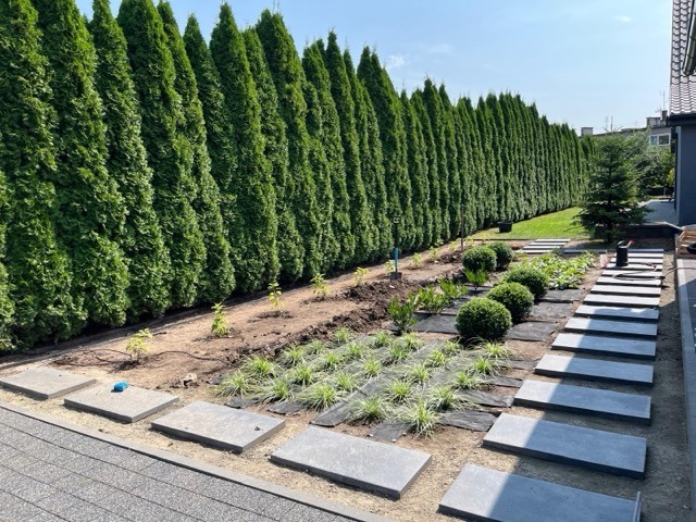 PHOTO-2026-01-17-18-29-14 10 Medium