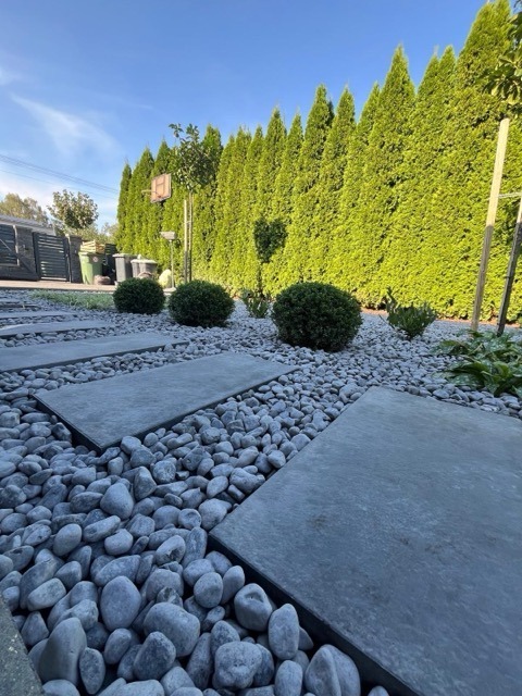 PHOTO-2026-01-17-18-29-14 11 Medium