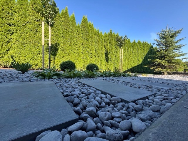 PHOTO-2026-01-17-18-29-14 12 Medium