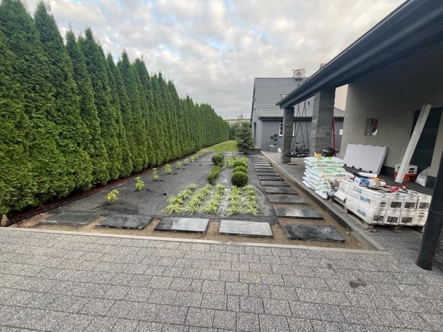 PHOTO-2026-01-17-18-29-14 6 Medium