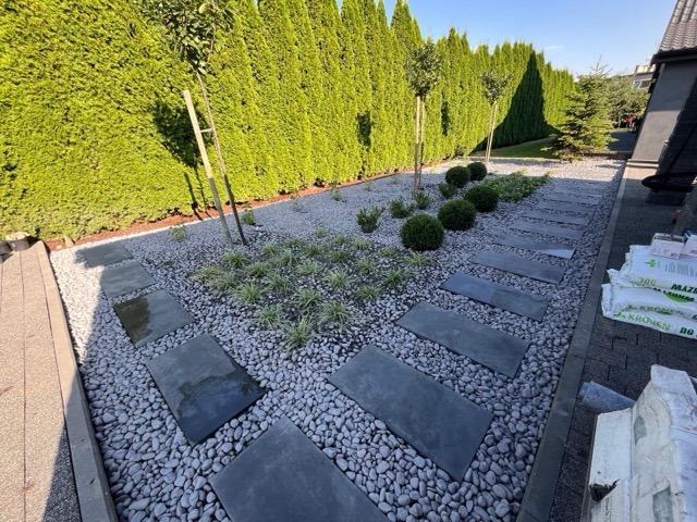 PHOTO-2026-01-17-18-29-14 8 Medium