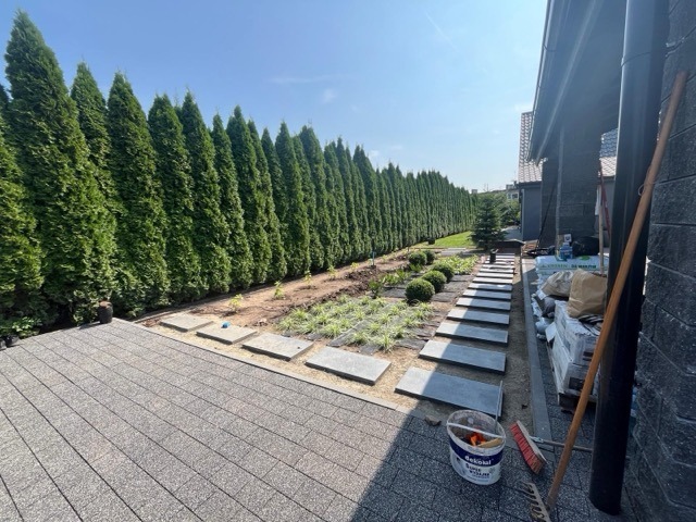 PHOTO-2026-01-17-18-29-14 9 Medium