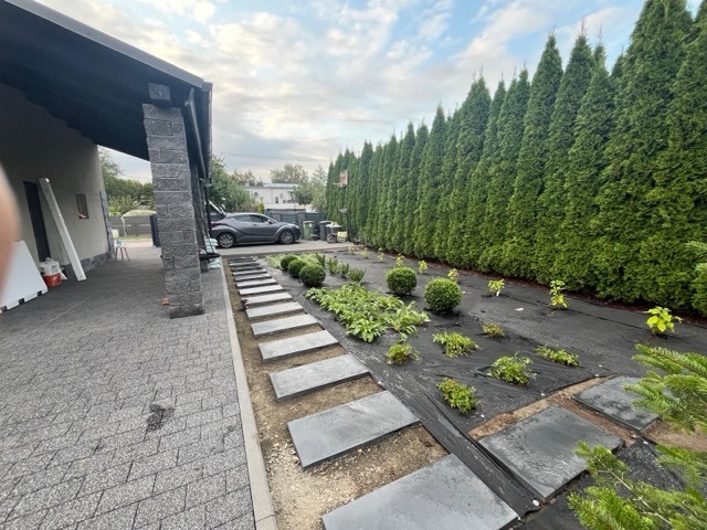 PHOTO-2026-01-17-18-29-14 Medium