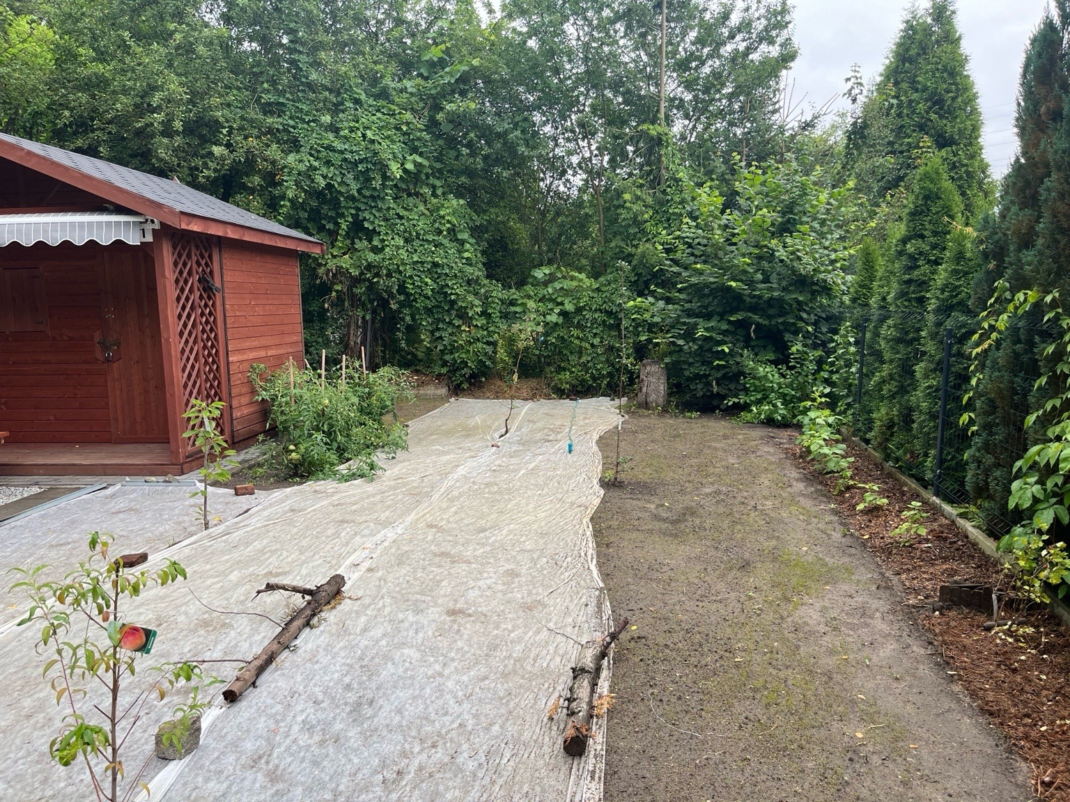 portfolio_03_9270FA7D-A9E5-4626-B018-1CF87B8B6BB1_do_2mb