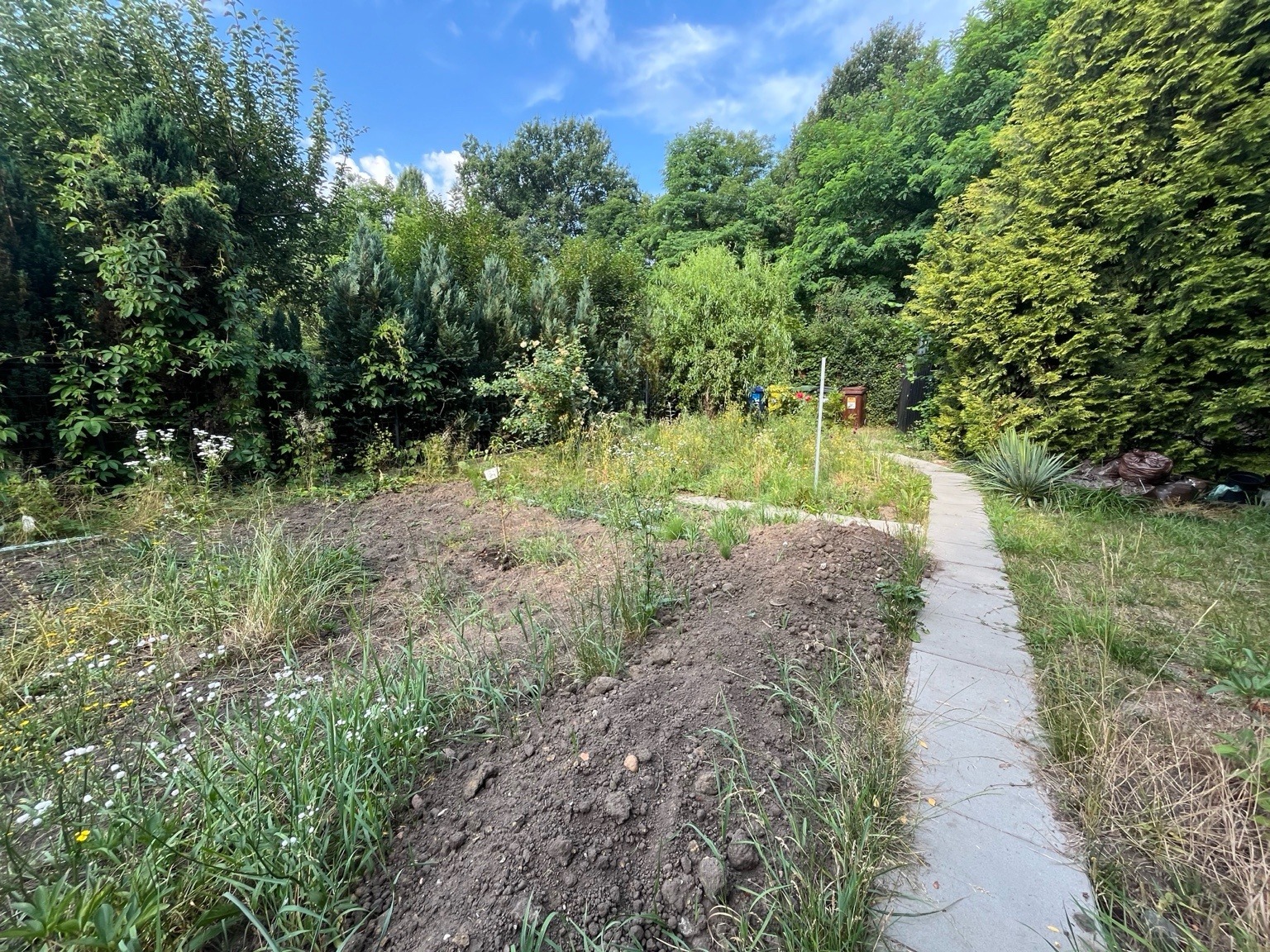 portfolio_08_AB163955-6773-4928-9520-7FDF08B25F20_do_2mb